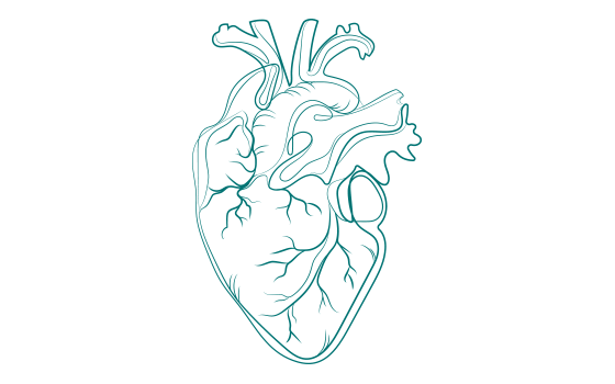 Kardio-CT und Kardio-MRT – Jetzt auch für gesetzlich Versicherte
